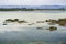 Wetlands in Alviso Marsh, south San Francisco bay, California