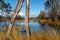 Wetlands around the River Murray at Cobdogla South Australia on 22nd June 2020