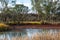 Wetlands around the River Murray at Cobdogla South Australia on 22nd June 2020