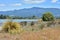 Wetlands around shallow estuary