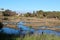 Wetlands at Big Swamp Bunbury Western Australia in late winter.