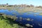 Wetlands at Big Swamp Bunbury Western Australia in late winter.