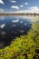 Wetlands billabong Australian swamp