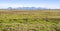 Wetlands in the California Central Valley