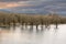 Wetlands at Columbia River Gorge