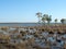 Wetlands country in northern Australia