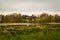 Wetlands and forest in the southern Sweden landscape called SkÃ¥ne Scania on a gloomy spring day