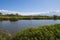 Wetlands of kealia pond wildlife refuge in maui