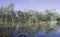 Wetlands, Kings Billabong Near Psyche Pumps, Austr