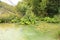 Wetlands by lake Kaliderovac on Plitvicka Jezera in Croatia