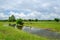 WETLANDs landscape