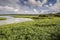 Wetlands in the Marais dâ€™Orx