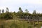 Wetlands Melbourne, Victoria, Australia showing trees, gardens, lake