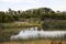 Wetlands Melbourne, Victoria, Australia showing trees, gardens, lake