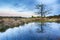 Wetlands and moorland on the national park Groote Zand near Hooghalen Drenthe during sunset