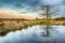 Wetlands and moorland on the national park Groote Zand near Hooghalen Drenthe during sunset