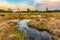 Wetlands and moorland on the national park Groote Zand near Hooghalen Drenthe during sunset