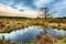 Wetlands and moorland on the national park Groote Zand near Hooghalen Drenthe during sunset