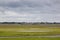 Wetlands of National Park Lauwersmeer, Holland