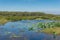 Wetlands nature background with water lilies and water plants