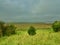 The wetlands and the  Norfolk landscape