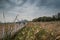 Wetlands park with cloudy sky in wuhan city, china