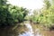 Wetlands picture taken from airboat