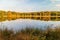 Wetlands in the province of Drenthe, The Netherlands