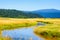 Wetlands of Steigerwald Lake National Wildlife Refuge