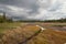 Wetlands surrounded by pine forest on a cloudy day