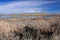 Wetlands at Thule Lake National Bird Sanctuary outside Lava Beds National Monument, California, USA