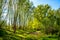 Wetlands wooded meadows of Lawice Kielpinskie natural reserve at the Vistula river near Lomianki town north of