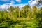 Wetlands wooded meadows of Lawice Kielpinskie natural reserve at the Vistula river near Lomianki town north of