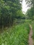 Wey & Arun Canal lock.