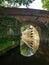 Wey & Arun Canal lock.