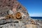 Whakaari or White Island sulphur factory in New Zealand