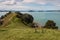 Whakakaiwhara Point in Duder Regional Park