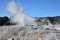 Whakarewarewa Valley of Geysers in New Zelandii.Geotermalny park