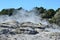 Whakarewarewa Valley of Geysers in New Zelandii.Geotermalny park