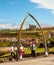 Whale bone arch