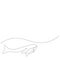 Whale family line drawing. Vector