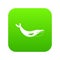 Whale icon digital green