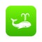 Whale icon green vector