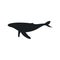 Whale icon vector. Sperm whale illustration sign. Fish symbol. Ocean logo.