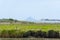 Whale Island on distant horizon beyond Waioeka River and landscape at Opotiki