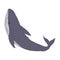 Whale jumping playful aquatic animal contour line doodle vector Illustration.