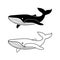 whale line , logo vector