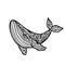 Whale mandala. Vector illustration. Whale sea animal in Zen style