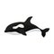 Whale orca vector icon.Cartoon vector icon isolated on white background whale orca.