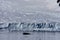 Whale in Paradise Harbor, Antarctica